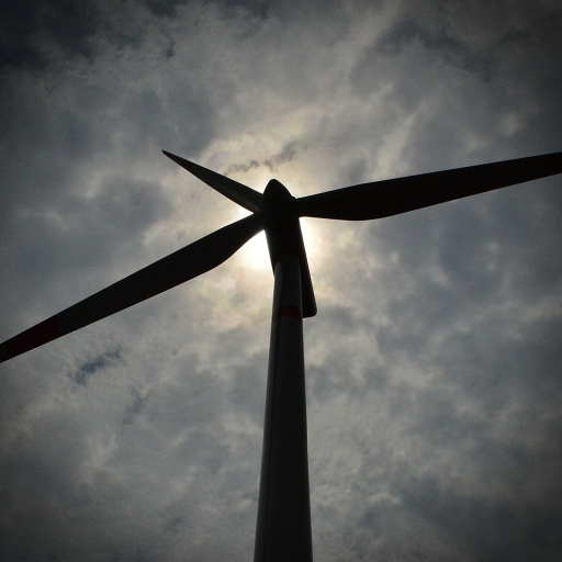 WIND CONCERNS logo